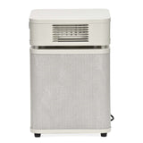 Austin Air HealthMate Plus Junior HM250